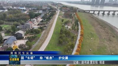 【聚焦民生实事】固“长堤”  除“蚁患”  护安澜（20251223）