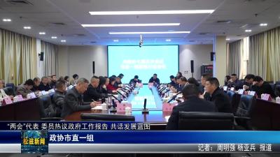 “两会”代表 委员热议政府工作报告 共话发展蓝图  政协市直一组（20251229）