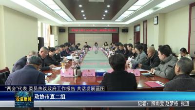 “两会”代表 委员热议政府工作报告 共话发展蓝图  政协市直二组（20251229）
