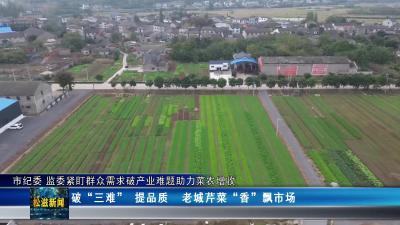 市纪委 监委紧盯群众需求破产业难题助力菜农增收（20251204）