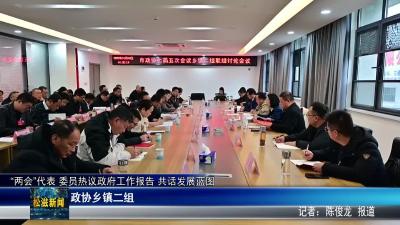 “两会”代表 委员热议政府工作报告 共话发展蓝图  政协乡镇二组（20251229）