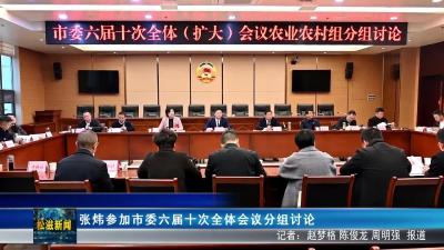 张炜参加市委六届十次全体会议分组讨论（20251210）