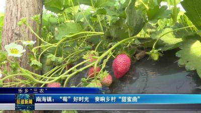 【乐乡“三农”】南海镇：“莓”好时光  奏响乡村“甜蜜曲”（20251208）