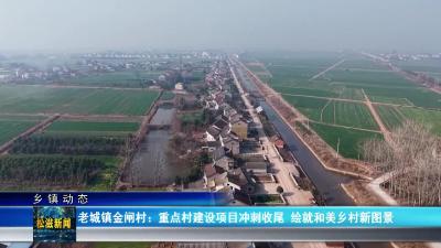 【乡镇动态】老城镇金闸村：重点村建设项目冲刺收尾  绘就和美乡村新图景（20260130）