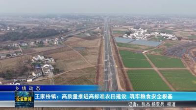 【乡镇动态】王家桥镇：高质量推进高标准农田建设  筑牢粮食安全根基（20260128）