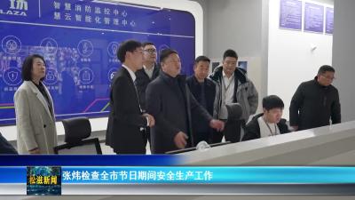张炜检查全市节日期间安全生产工作（20260104）