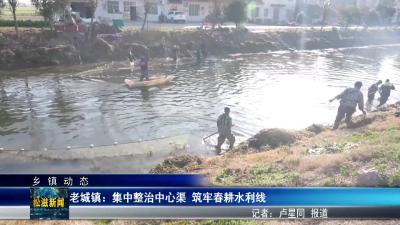 【乡镇动态】老城镇：集中整治中心渠  筑牢春耕水利线（20260114）