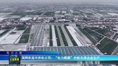 【电力之窗】国网松滋市供电公司：“电力暖棚”护航冬季农业生产（20260122）