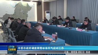 市委市政府调度雨雪冰冻天气应对工作（20260120）