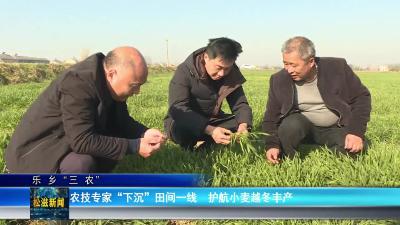 【乐乡“三农”】农技专家“下沉”田间一线  护航小麦越冬丰产（20260115）