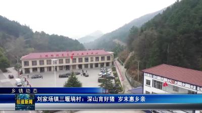 【乡镇动态】刘家场镇三堰埫村：深山育好猪  岁末惠乡亲（20260127）