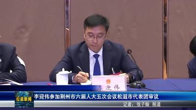 李迎伟参加荆州市六届人大五次会议松滋市代表团审议（20260115）