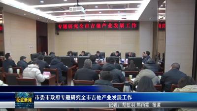 市委市政府专题研究全市吉他产业发展工作（20260209）