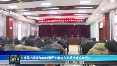 市委第四巡察组向卸甲坪土家族乡党委反馈巡察情况（20260215）