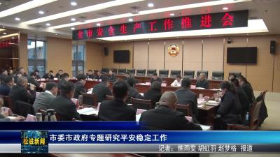 市委市政府专题研究平安稳定工作（20260227）