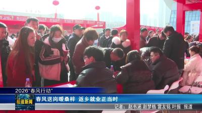 【2026“春风行动”】春风送岗暖桑梓  返乡就业正当时（20260225）