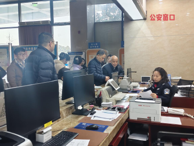 市政务服务中心：春节假期服务“不打烊” 高效办事获点赞