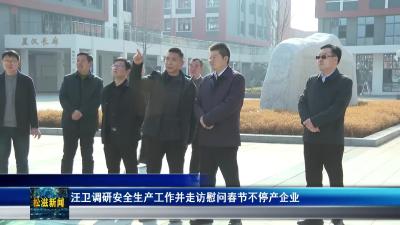 汪卫调研安全生产工作并走访慰问春节不停产企业（20260224）