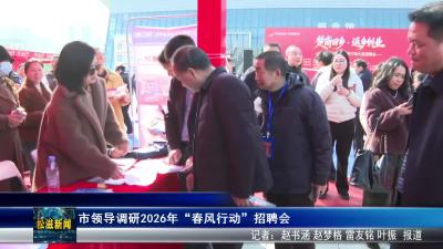 市领导调研2026年“春风行动”招聘会（20260226）