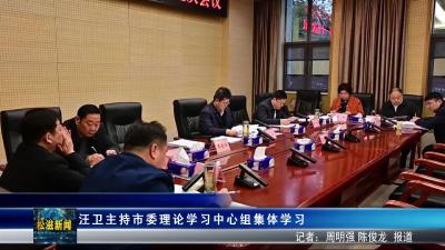 汪卫主持市委理论学习中心组集体学习（20260205）