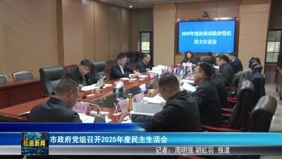 市政府党组召开2025年度民主生活会（20260213）