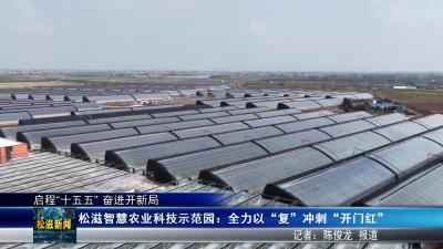 【启程“十五五” 奋进开新局】松滋智慧农业科技示范园：全力以“复”  冲刺“开门红”（20260225）