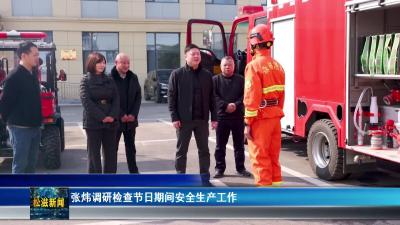 张炜调研检查节日期间安全生产工作（20260214）