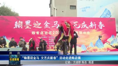 “翰墨迎金马 文艺庆新春”活动走进陈店镇（20260213）