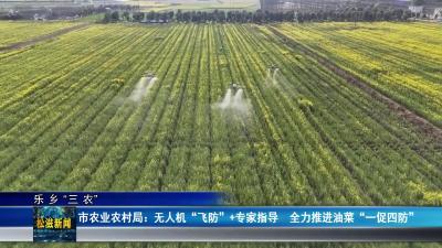 【乐乡“三农”】市农业农村局：无人机“飞防”+专家指导  全力推进油菜“一促四防”（20260303）