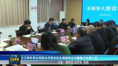 汪卫到市信访局接访并研究民生领域信访问题集中治理工作（20260304）