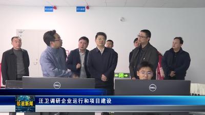 汪卫调研企业运行和项目建设（20260330）