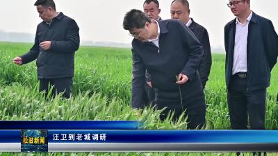 汪卫到老城调研（20260323）