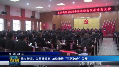 【乡镇动态】乐乡街道：以昂扬姿态  加快推进“三区融合”发展（20260310）