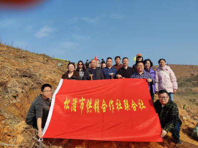 市供销社：为青山植绿，为发展蓄能