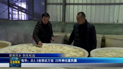 【楚商回乡 创在松滋】张华：从3.5亩到近万亩  23年种出富民藕（20260327）