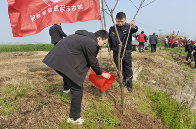 义务植树正当时 涴市市场监督管理所绘就生态新画卷
