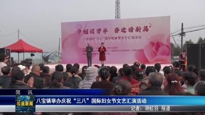八宝镇举办庆祝“三八”国际妇女节文艺汇演活动（20260306）