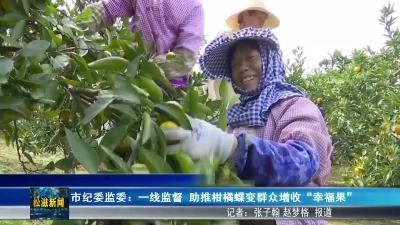市纪委监委：一线监督  助推柑橘蝶变群众增收“幸福果”（20260306）