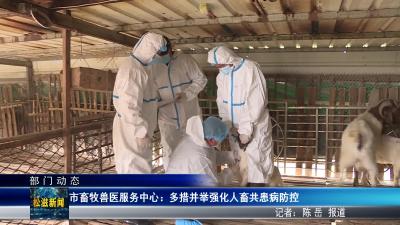 【部门动态】市畜牧兽医服务中心 ： 多措并举强化人畜共患病防控（20260320）