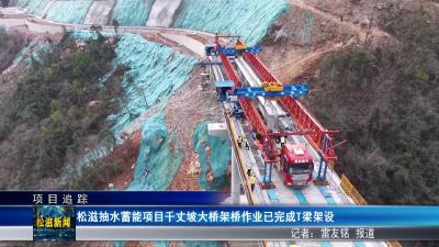 【项目追踪】松滋抽水蓄能项目千丈坡大桥架桥作业已完成T梁架设（20260310）