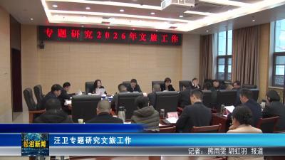 汪卫专题研究文旅工作（20260323）