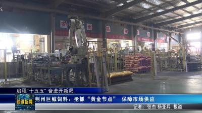 【启程“十五五” 奋进开新局】荆州巨鲸饲料：抢抓“黄金节点”  保障市场供应（20260325）