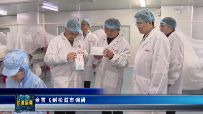 余雪飞到松滋市调研（20260327）