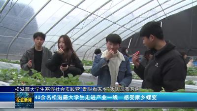 松滋籍大学生寒假社会实践营“青眼看家乡”活动圆满落幕（20260302）