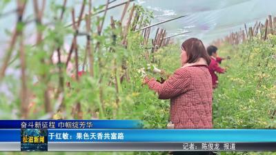 【奋斗新征程 巾帼绽芳华】于红敏：果色天香共富路（20260309）