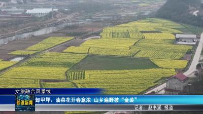 【文旅融合风景线】卸甲坪：油菜花开春意浓  山乡遍野披“金装”（20260318）