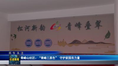 【民生关注】青峰山社区：“青峰三原色”  守护家园有力量（20260409）