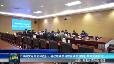 市政府党组树立和践行正确政绩观学习教育读书班举行集体交流研讨（20260401）