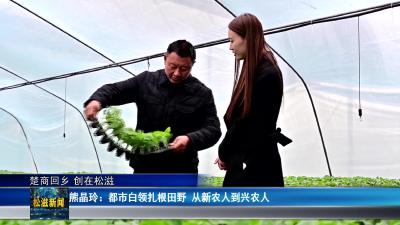 【楚商回乡 创在松滋】熊晶玲：都市白领扎根田野  从新农人到兴农人（20260402）