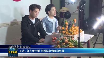 【楚商回乡 创在松滋】王涛：返乡做主播  把松滋好物卖向全国（20260413）